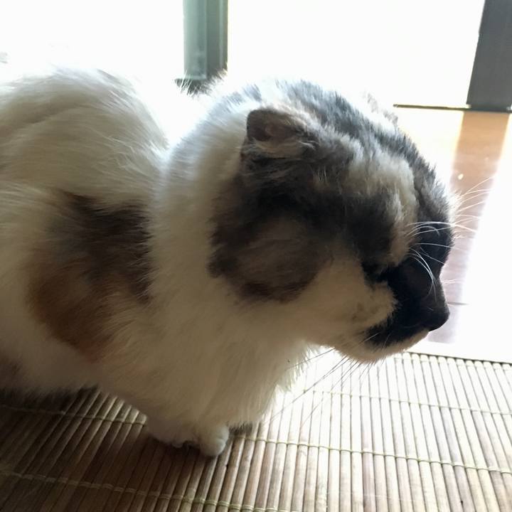 Afcba3e2 4ca7 4c77 9426 7774ae10edb3