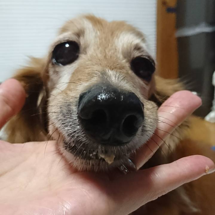 Afcc2fc0 0199 4aa4 b34f f2e05787db71