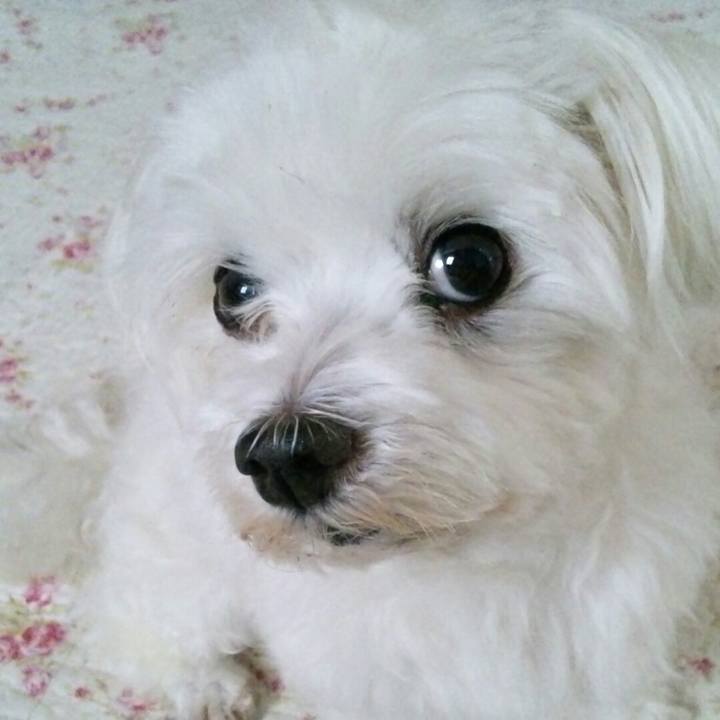 Afcd2b05 5eb7 430d 8d8f 756b7f2d1d0b