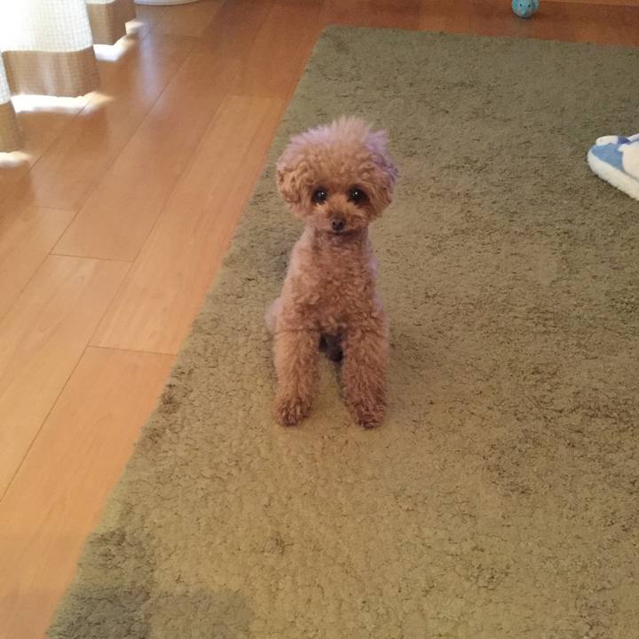 Afcd58ba d19d 4d6d b691 f505f31ec356