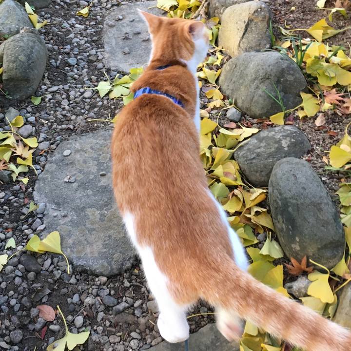 Afcdb9b2 a570 43b1 9336 75876547b2e2