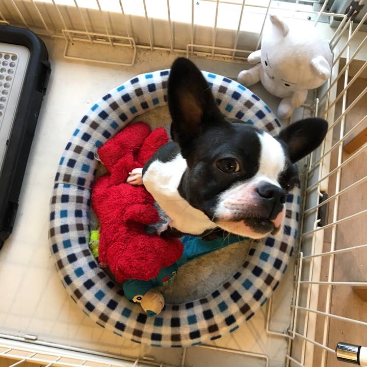 Afce4003 2a60 47b1 a48e 378f7a80e3bd