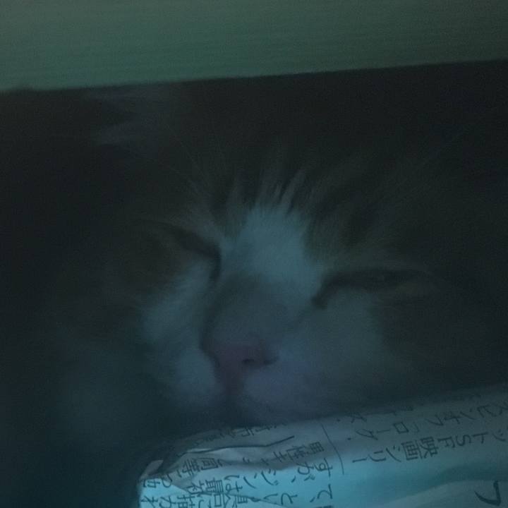 Afce4a10 d30c 4da9 ac5f 5046f297ab66