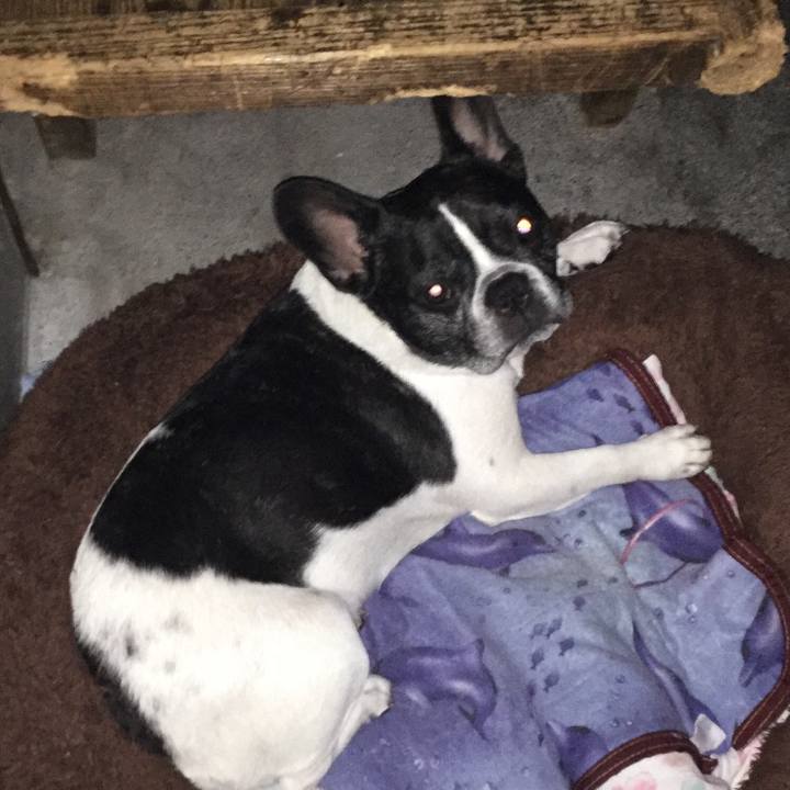 Afce5c2d efab 41a4 a689 4bdb62fce9b3