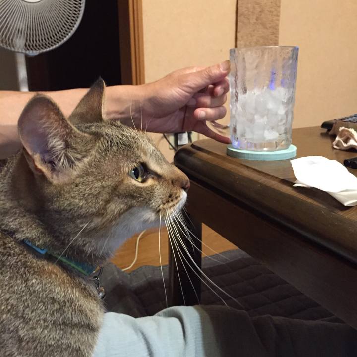 Afce9911 14d1 4d00 a148 3b473ca49ec5