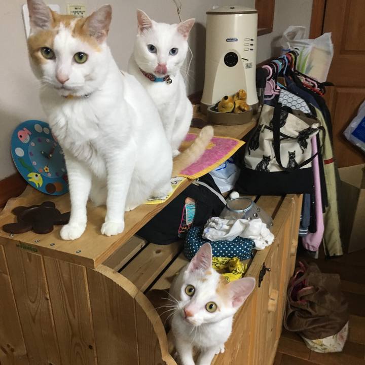 Afcede47 1df4 4489 bdde 495fd6db163b