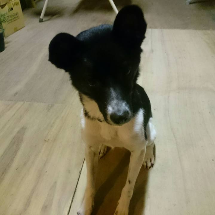 Afcfdcb3 e84c 4227 89a6 a60ecab30820