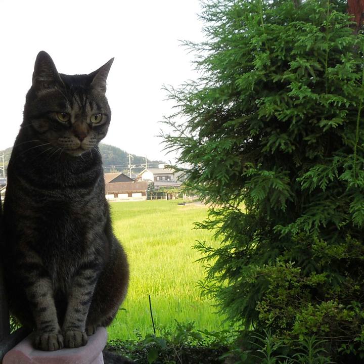 Afd05e61 f938 41dd b2a2 d0a7fb33569c