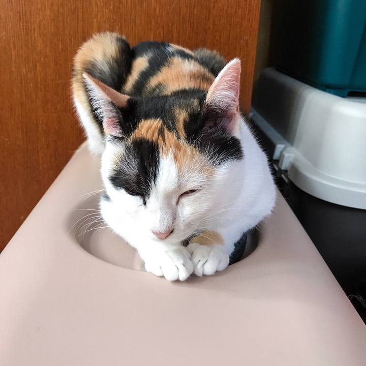 Afd078bb b2c5 4138 84ed 689ca294a9d3