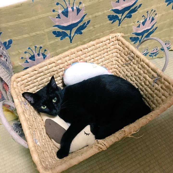 Afd0ee3d 9a86 4632 9f93 0bcd9a6beee7