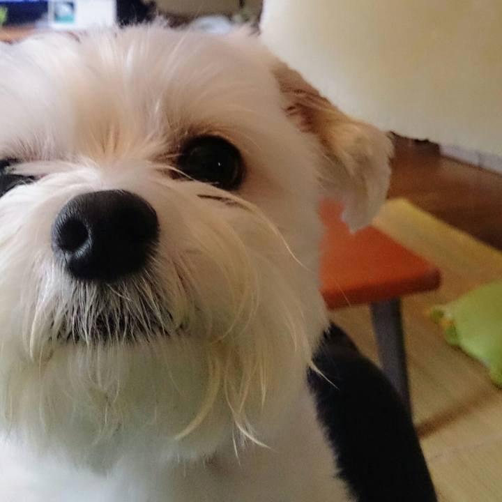 Afd1676d 60ed 423b a5eb c85be79ccf3c