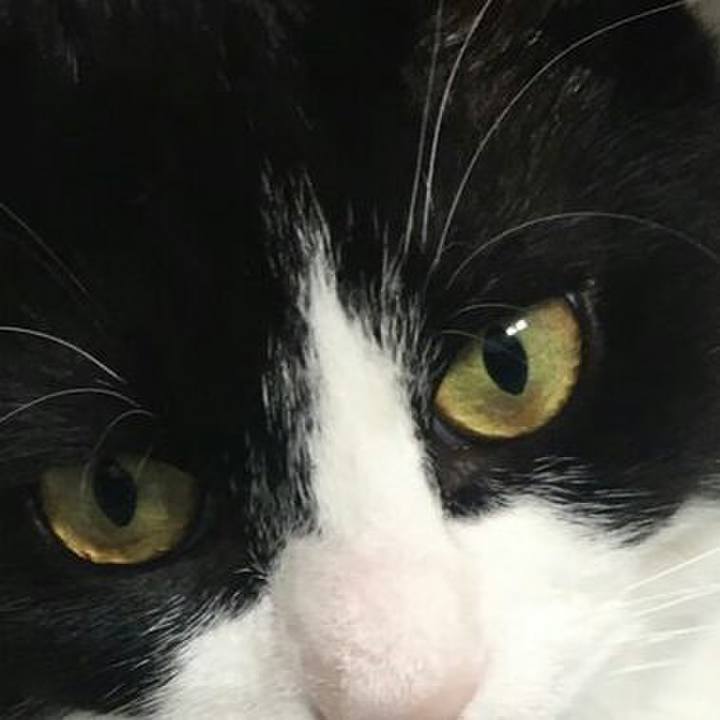 Afd19999 9da9 4820 974c 2aefeb7c70b8