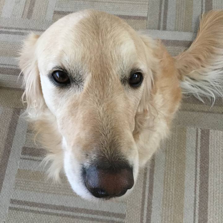 Afd1b448 bda6 4d79 bc2c f03cbd36bd83