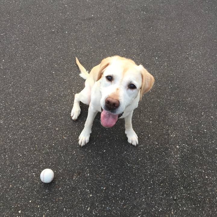 Afd1fc51 f7dc 4613 bebf 66e0c0cbd772