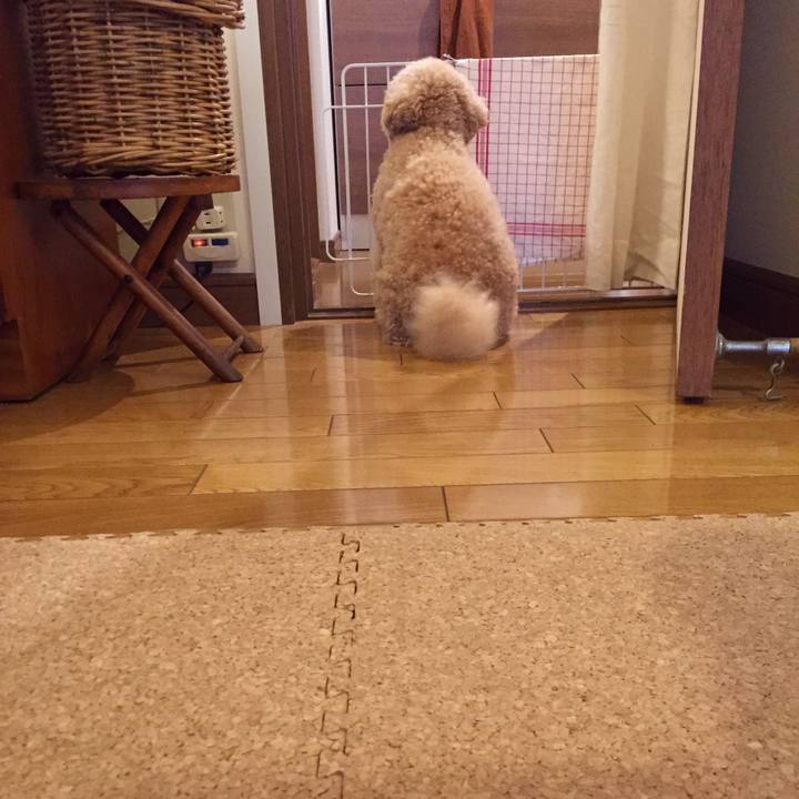 Afd246ec 435a 4204 baf0 5446fc2a670e