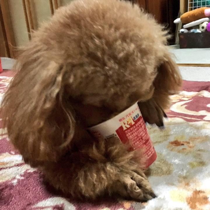 Afd261cd 0b03 4b0f 808f e4945eb44dd4