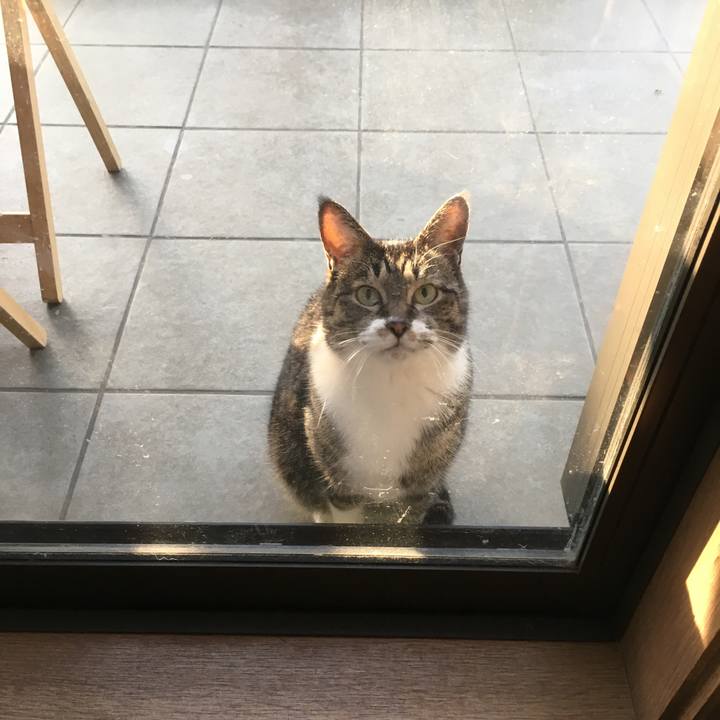 Afd2ecf1 fc4e 44e5 8454 9858ee0f0498