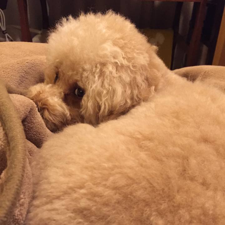 Afd370d8 616c 4989 ba46 60b9af452959