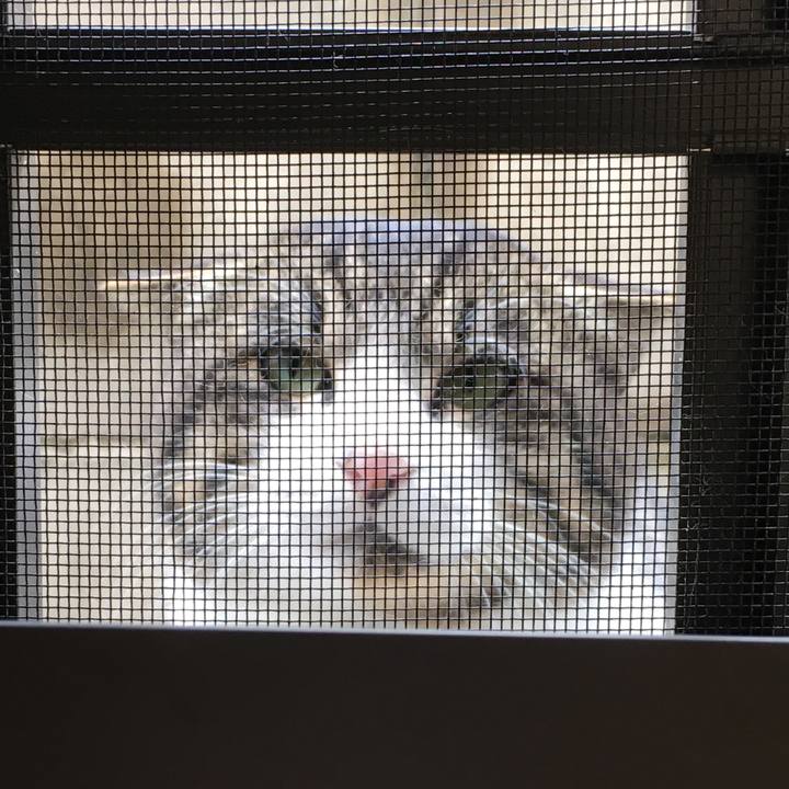 Afd37e44 2661 46c3 9d46 6c680484869e