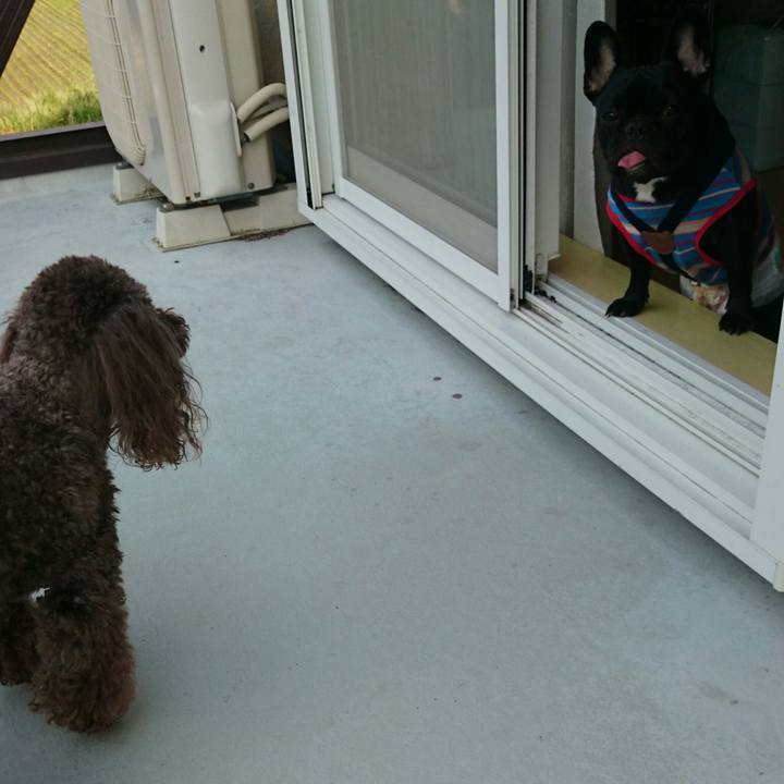 Afd4baca ee53 4a5b a3cc 52e6a304d626