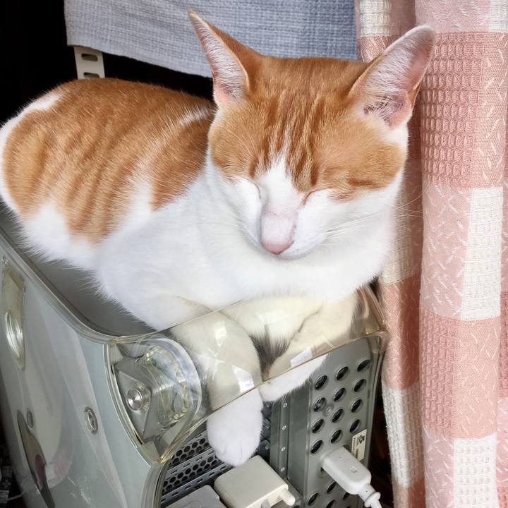 Afd4e1ec baf2 4160 ac69 5ca88a963701