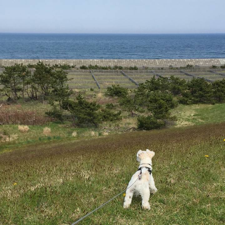 Afd558dc 9a18 4509 b16e 104010800898