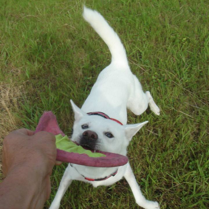 Afd55c08 8228 4109 9c71 6f989c96536b