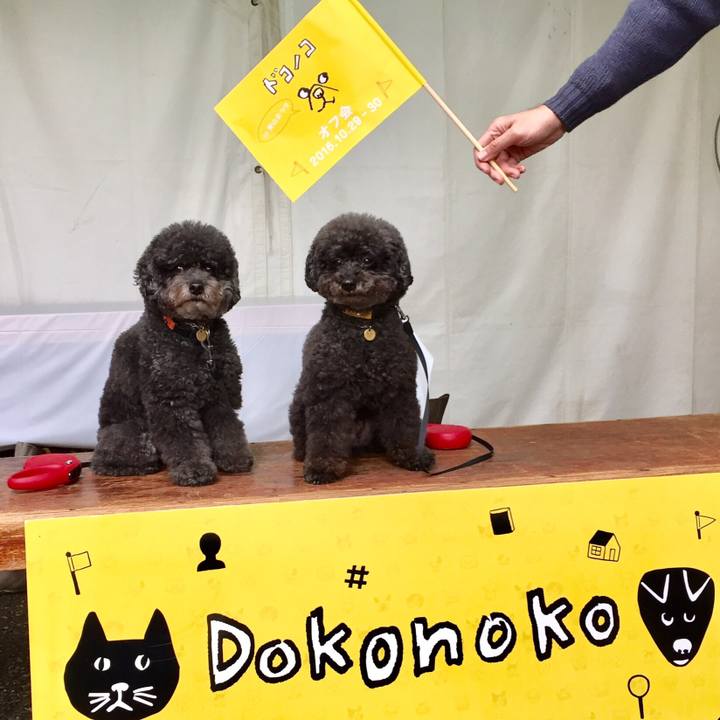 Afd5c77b e8e3 42df a0aa 414a0ad2bdf4