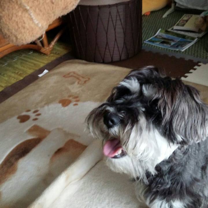 Afd634fc 6367 4cbb 9c1f a41d57fe35ff