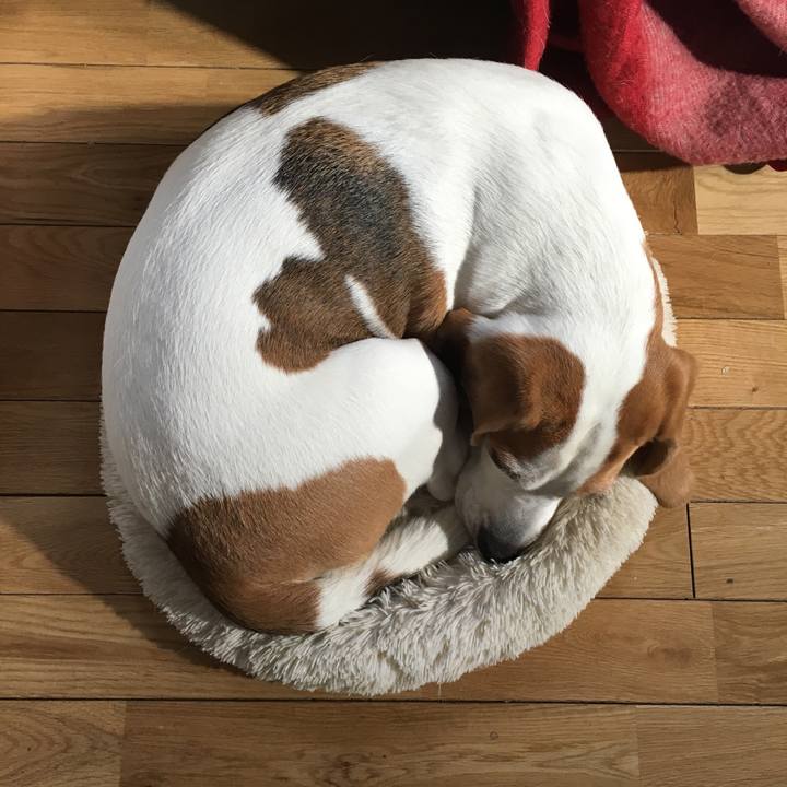 Afd63ad4 68ab 41cc 8112 c95bb222c21b