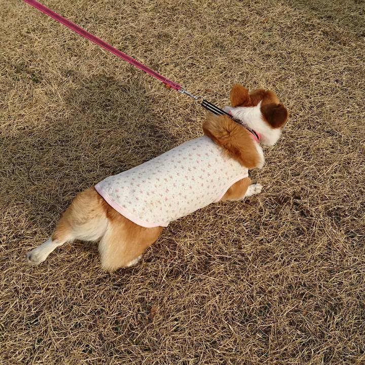 Afd66d1b a853 4696 8616 c92dd33a8315