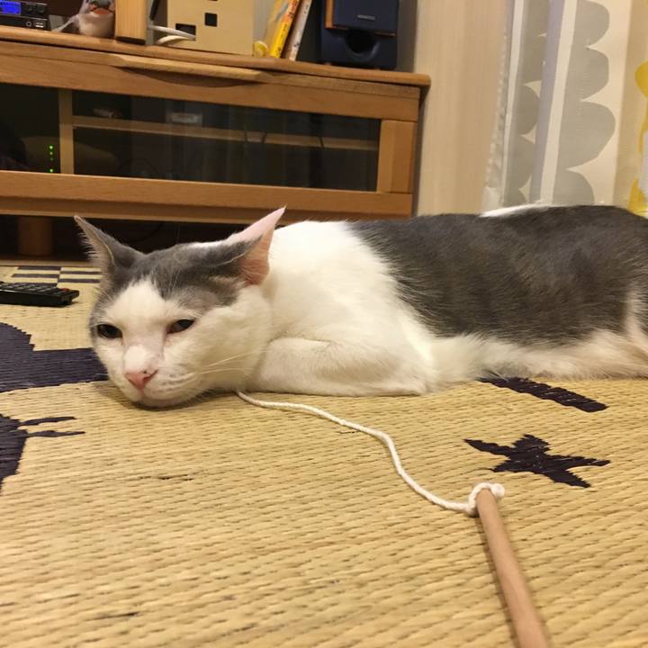 Afd66da5 aa45 4299 a2f2 7472373bdf50