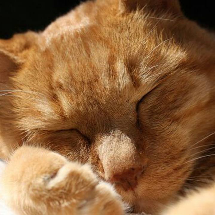 Afd73c8c 6cc5 4a90 9eac c8ff5cf3cbed