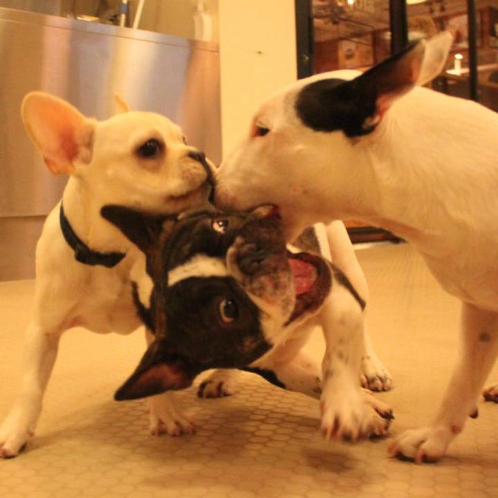 Afd80e90 c7cb 4e98 9cbf d7c3e4219550