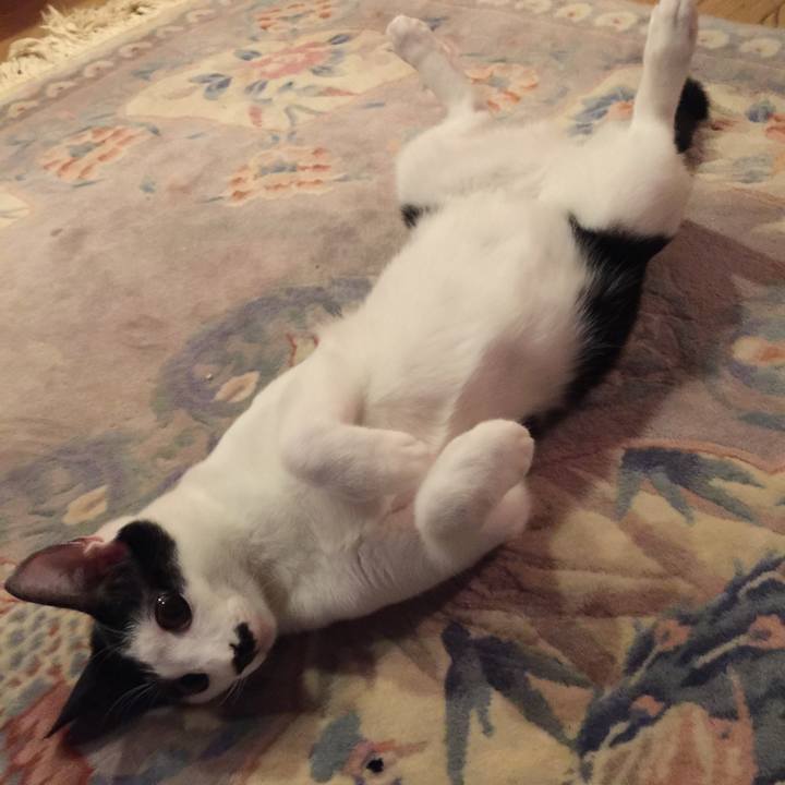 Afd8162d f5b0 49d1 94fb b6371a532fc8