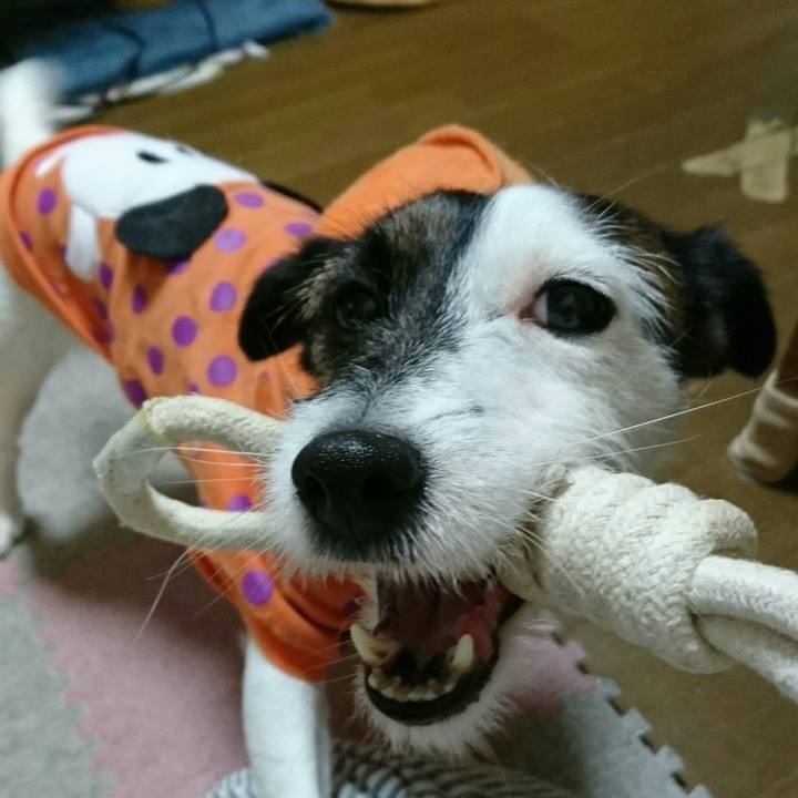 Afd868fb 0fca 4f15 875d 5e2a4ac27929