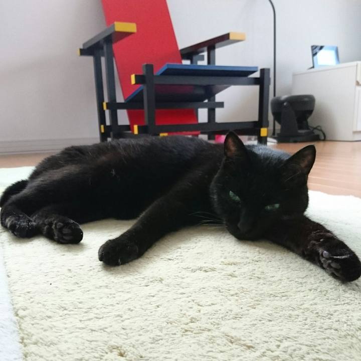 Afd8715e a959 40ca 8b4d 9dc5c525a3c2