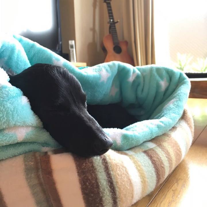 Afd88d6a 4d01 49ff 9b7f 630529a26b9d