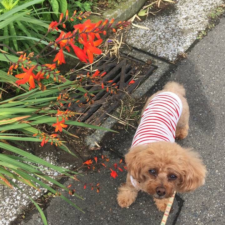 Afd8abd6 fc11 4b32 9b0e ac300cceeb7b