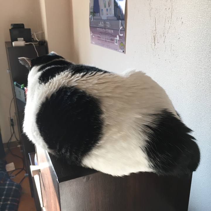 Afd8b381 6ad1 4929 a717 bd0a7110c90f