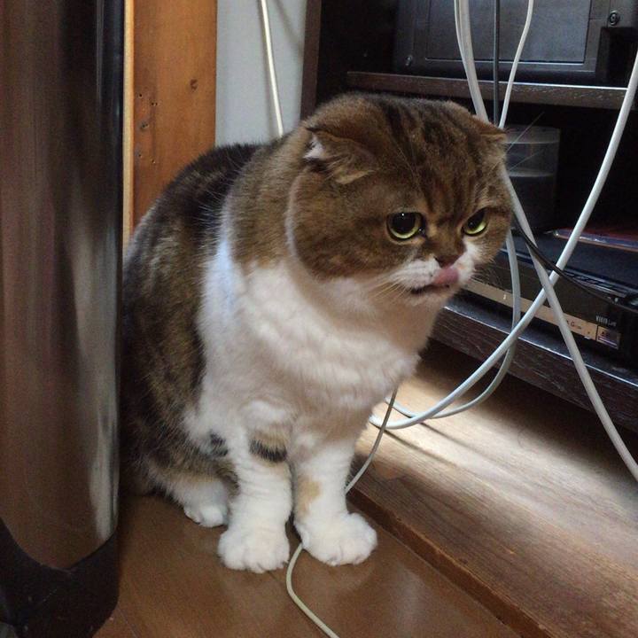 Afd8f275 ea0c 4299 859b 0d9d000c9f71