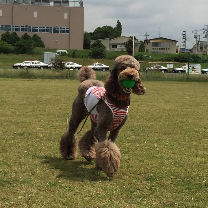 Afda2c8d cab7 487a 96ac 23f14a7c4cca