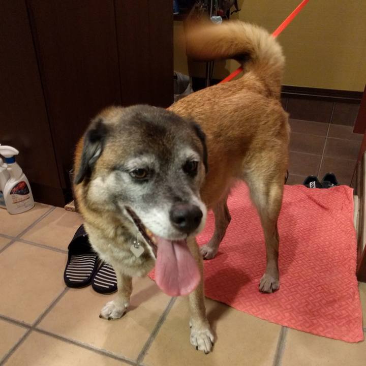 Afda4534 889f 4d3f 9df8 2c559e2bac29