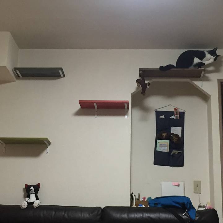 Afda6b6f f4ea 4074 bac2 ea7e435656e2