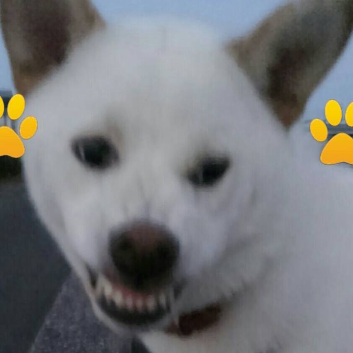 Afdaa919 212d 45b3 aa78 ae1b8a9e8be9