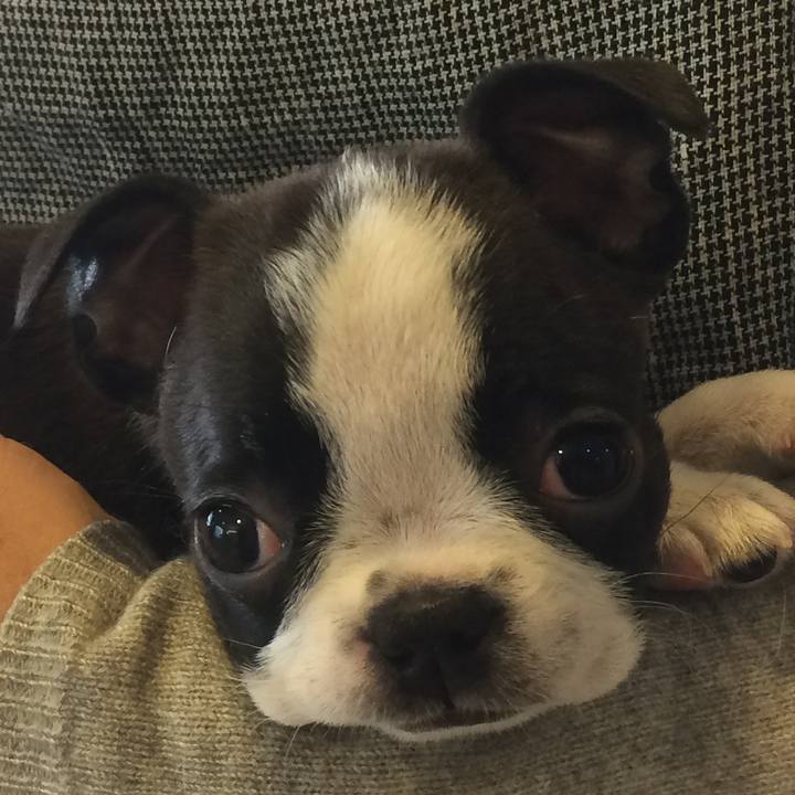 Afdb0301 1bdf 4a35 9919 9aebd475401b