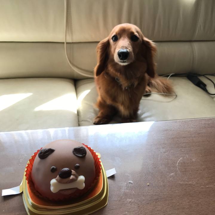 Afdb2416 ea56 4864 b8d1 faebaaa03630