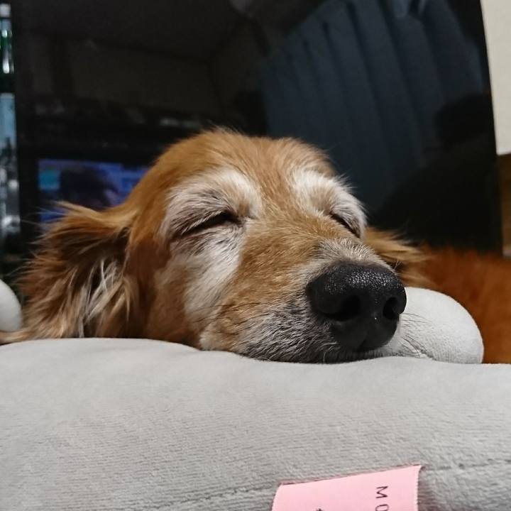 Afdb41cc 5ff3 4445 a14f b844b41e1f25