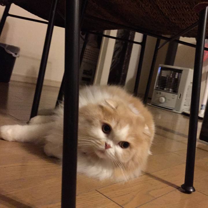 Afdb9a9f a7bf 47a4 a470 8ebb20065c2f