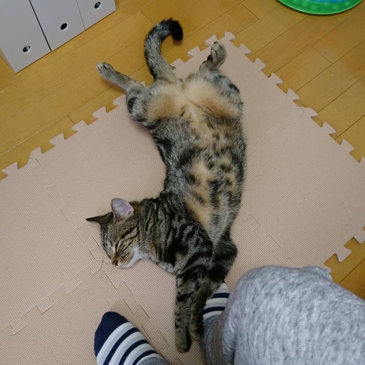 Afdc3317 08c5 4ca7 a5eb c5bfa9e909dd